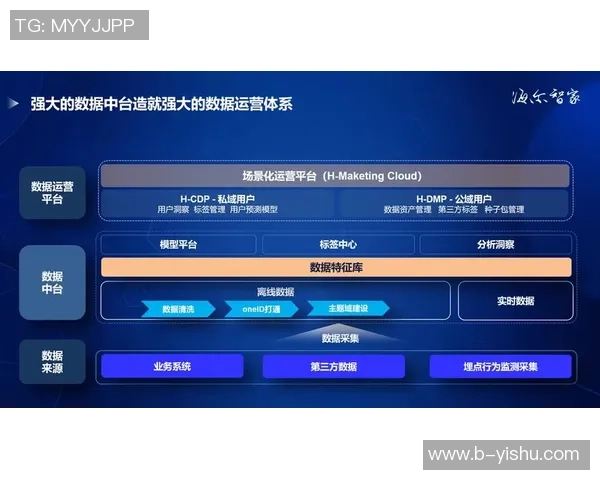 武汉排球队运营革新探讨：从传统模式到现代管理的转型之路